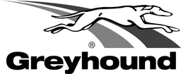 GreyHound